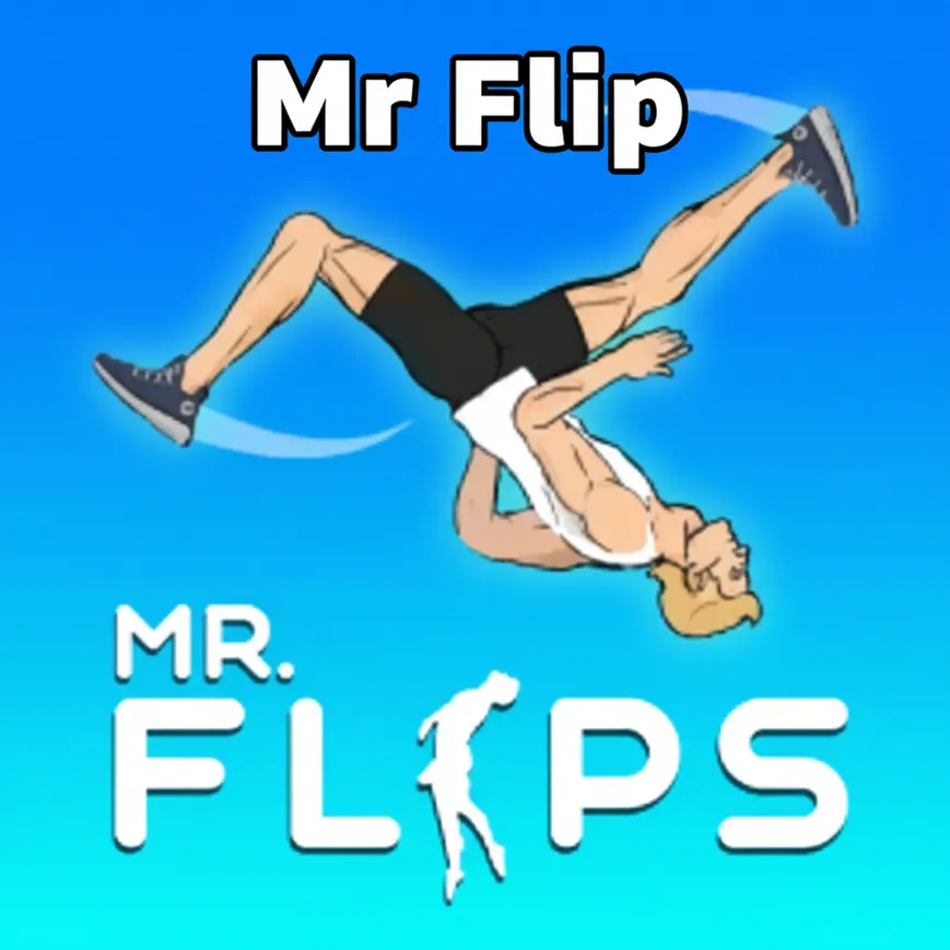 Mr Flip Jeu de Cascade